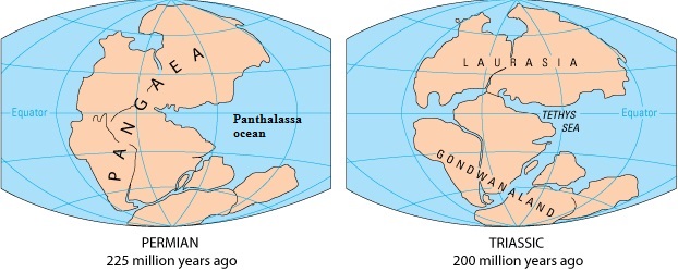 Continental drift theory UPSC ~ Dedicated to UPSC and State PCS