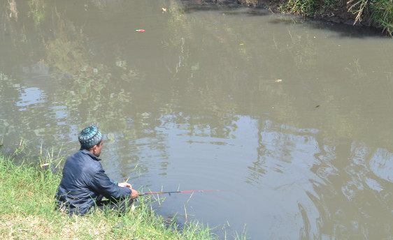 99 Arti Mimpi Mancing Ikan Dapat Ular Besar Menurut