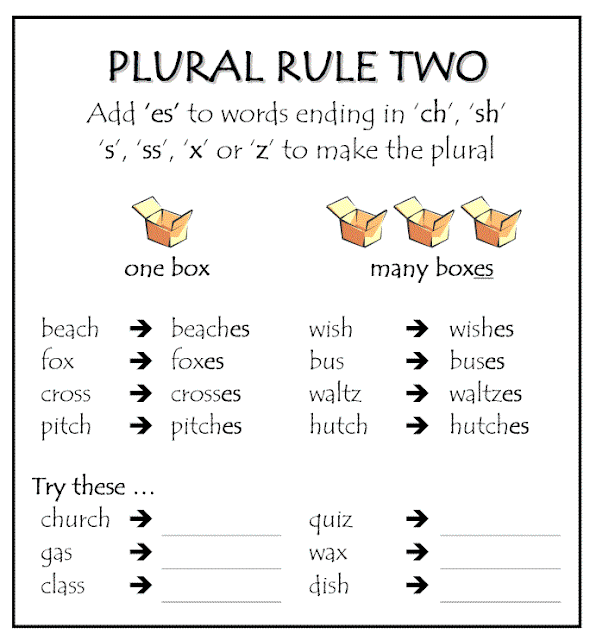 Plural Spelling Rules Worksheets