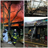 বর্ষ বরণে ভয়াবহ আগুনে পুড়ে ৩০টি বিরল বন্যপ্রাণী সহ চিড়িয়াখানা 1 বর্ষ বরণে ভয়াবহ আগুনে পুড়ে ৩০টি বিরল বন্যপ্রাণী সহ চিড়িয়াখানা