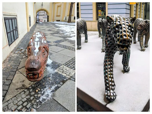 Visit Brno in winter: alligator and cheetah