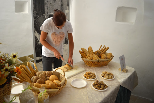 cosa mangiare in trentino