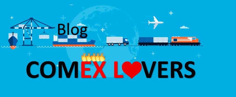 Comex Lovers 5 TERMOS TÉCNICOS (EM INGLÊS) MAIS