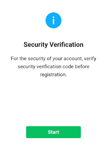 Security Verification