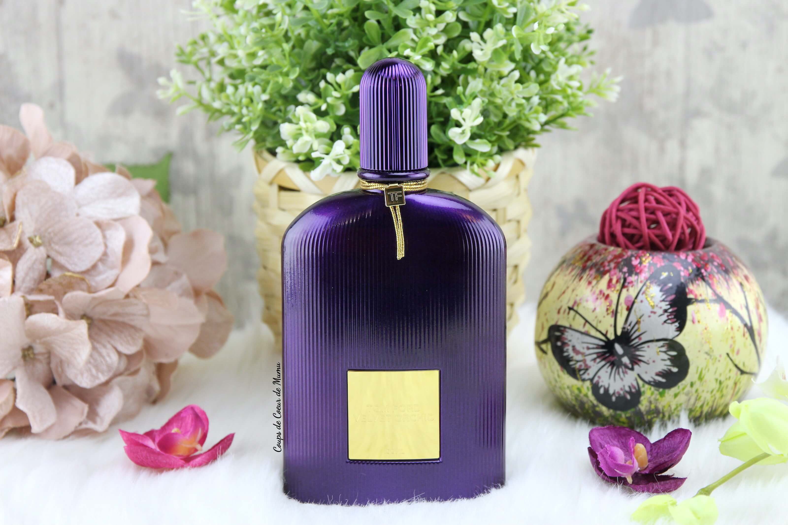 Velvet Orchid de Tom Ford, un parfum féminin, sensuel et mystérieux
