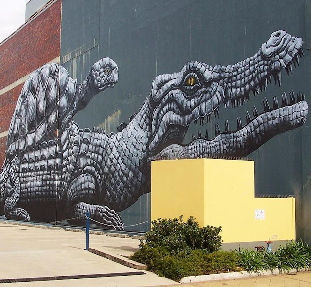 Our friend ROA recently spent some time in Australia where he was invited by Townville’s city council as part of an interesting initiative to develop street art in the city.