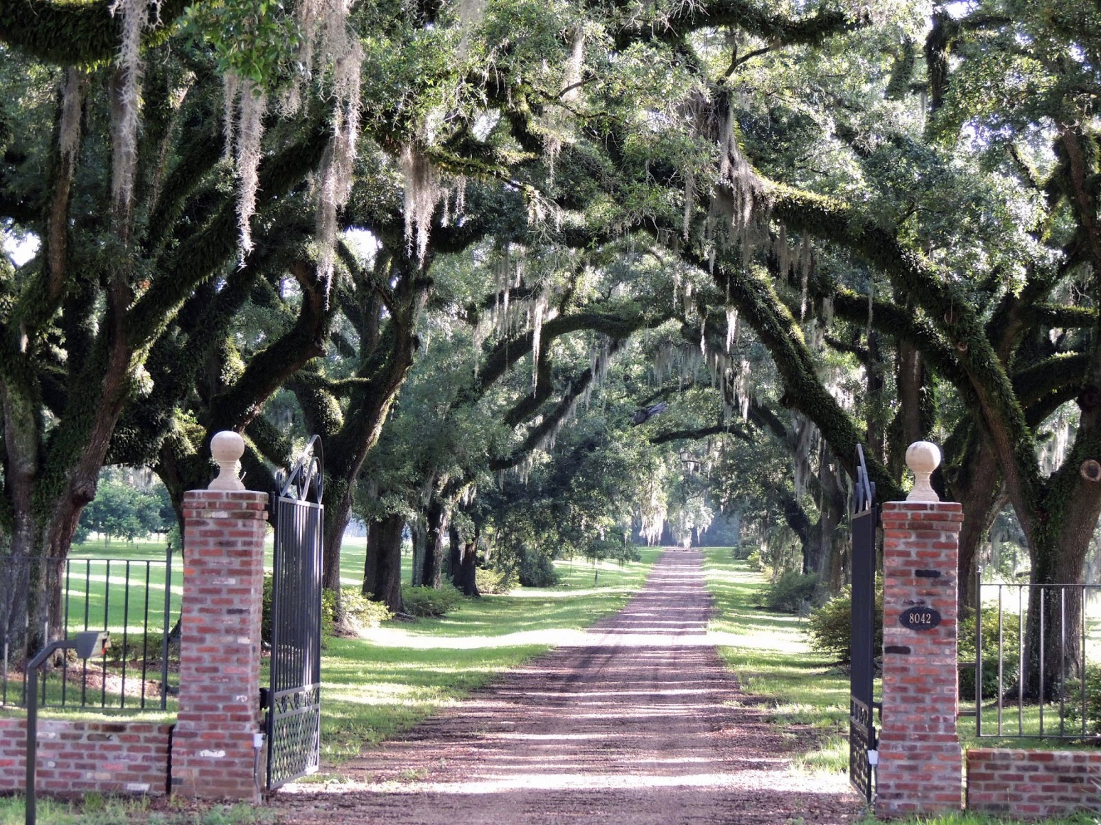 Cal & Rachel Litwiller's Adventures Saint Francisville, LA to Natchez, MA Thursday, June 20, 2013
