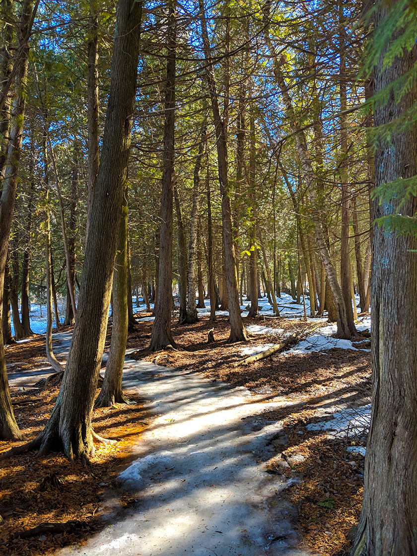 Snowshoeing Peninsula State Park in Door County
