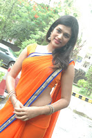 Shraddha Das Spicy Photo shoot in Orange Saree stills