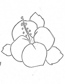 desenho de hibisco