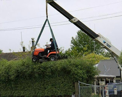 Hobbygärtner - Hecke trimmen lustige Bilder Rasenmäher