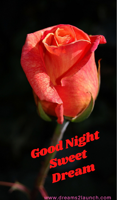 rose good night images