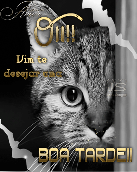 ecbd3c62d3a59750dd3bb826cd15920d8409381c