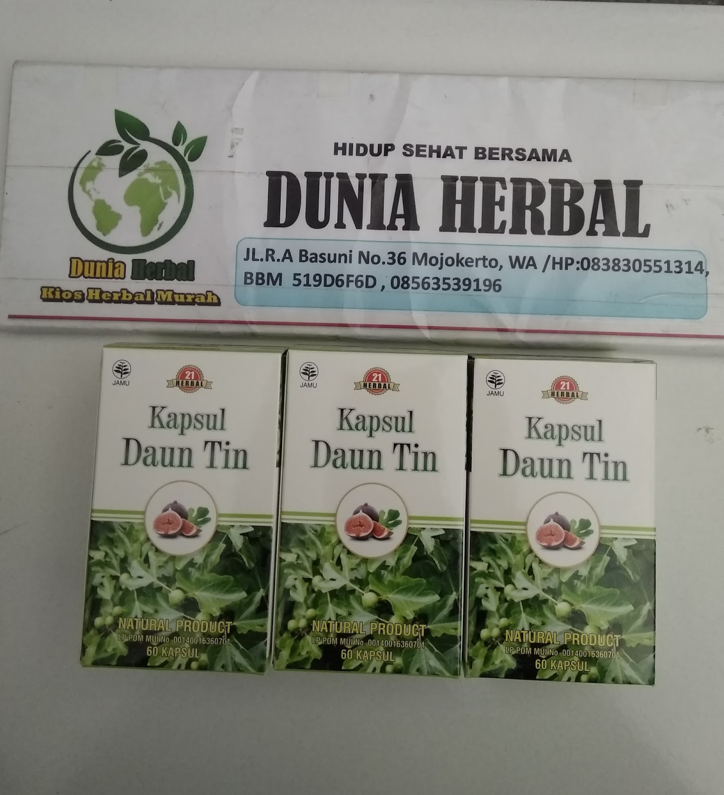 KAPSUL DAUN TIN (Sangat ampuh untuk berbagai macam ...