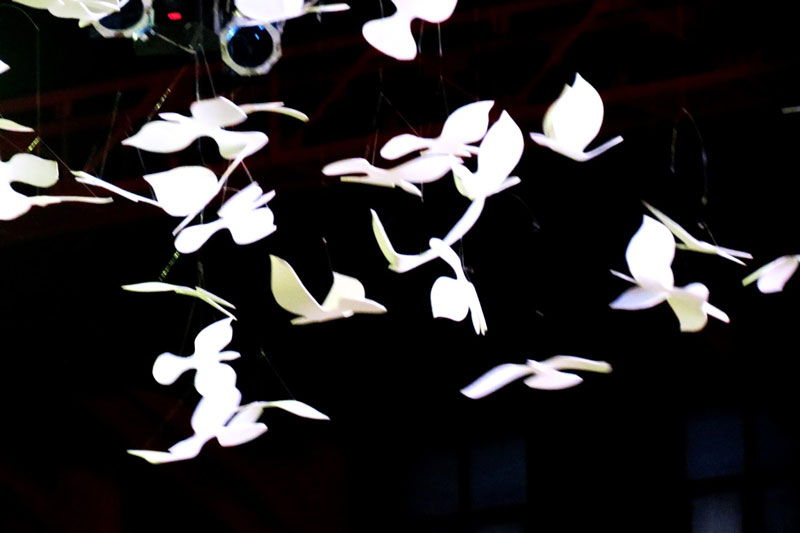 OTWOL Live Viewing Party Set Up - Ceiling Ceiling
