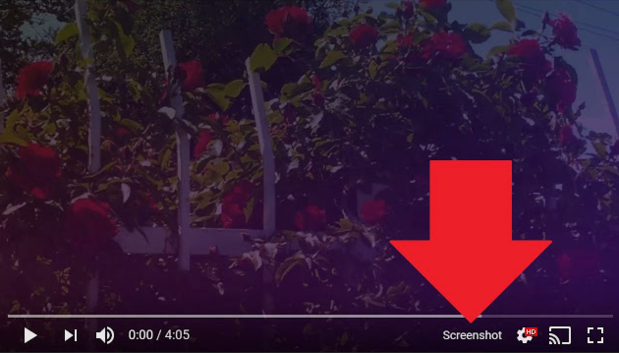Here Is How to Take Screenshots from Currently Playing Videos on