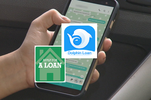 Dolphin Loan  |  Online Lending App