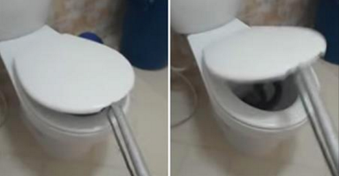 HORREUR: voici ce qu'elle a trouvé dans la cuvette des toilettes (vidéo)