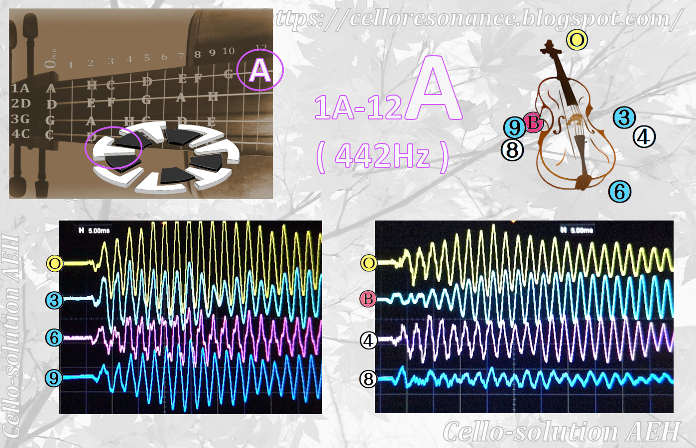 Cello Resonance A(442Hz) Typical Resonance / Cello1