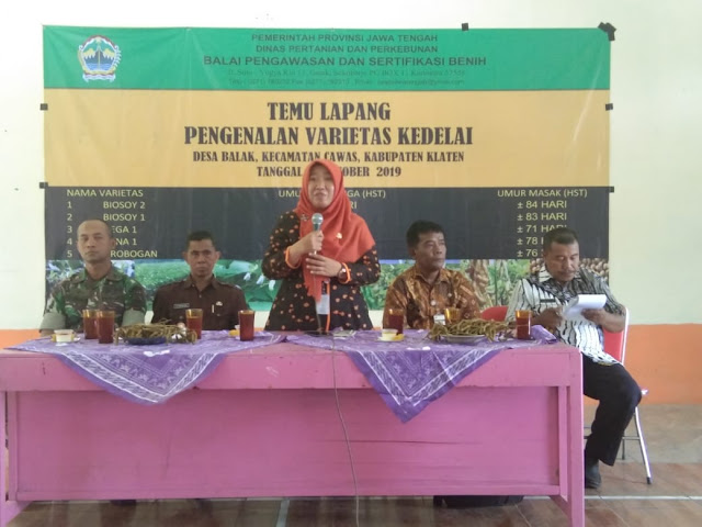 Babinsa Cawas Hadiri Temu Lapang Pengenalan Varietas Kedelai