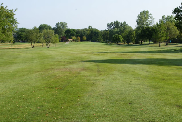 Golf Course poa trivialis fairway going dormant