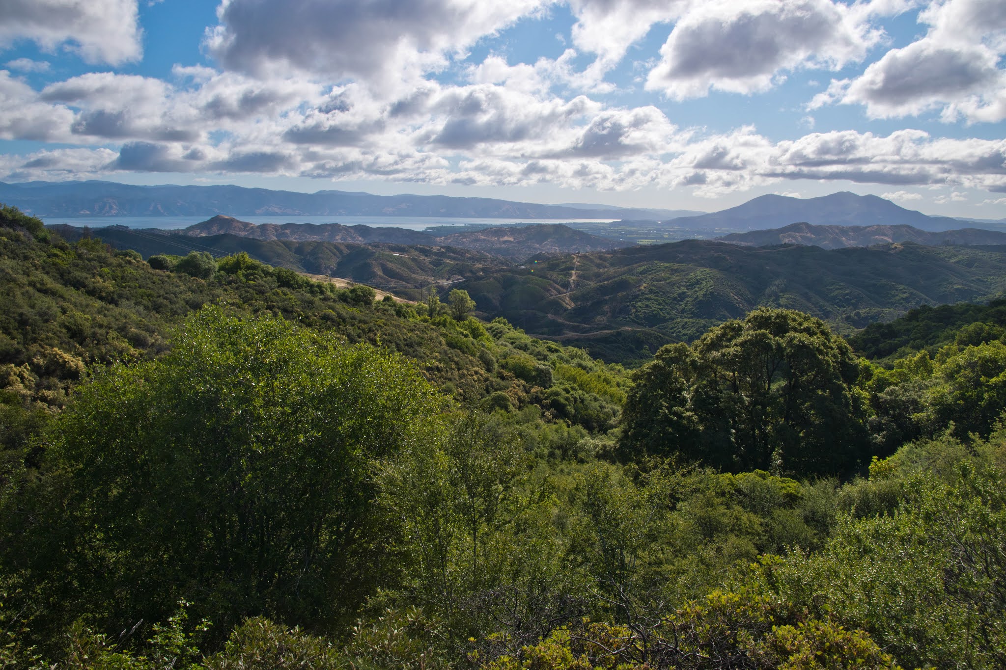 Hiking Shenandoah Mount Konocti