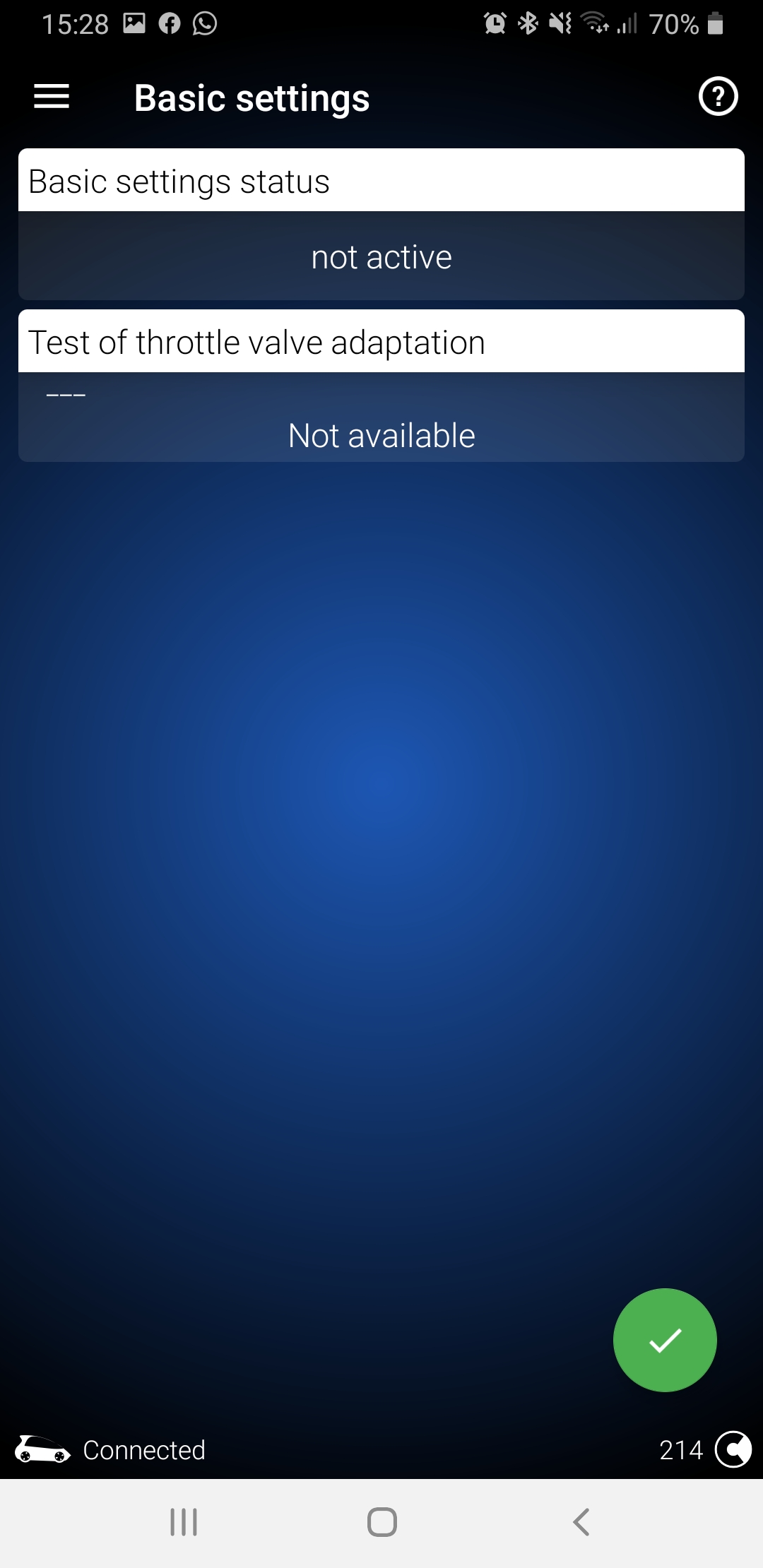 Audi Throttle Body Adaptation