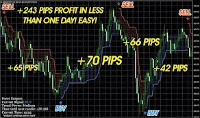 Automated Forex Tools - Forex Robots - Expert Advisors