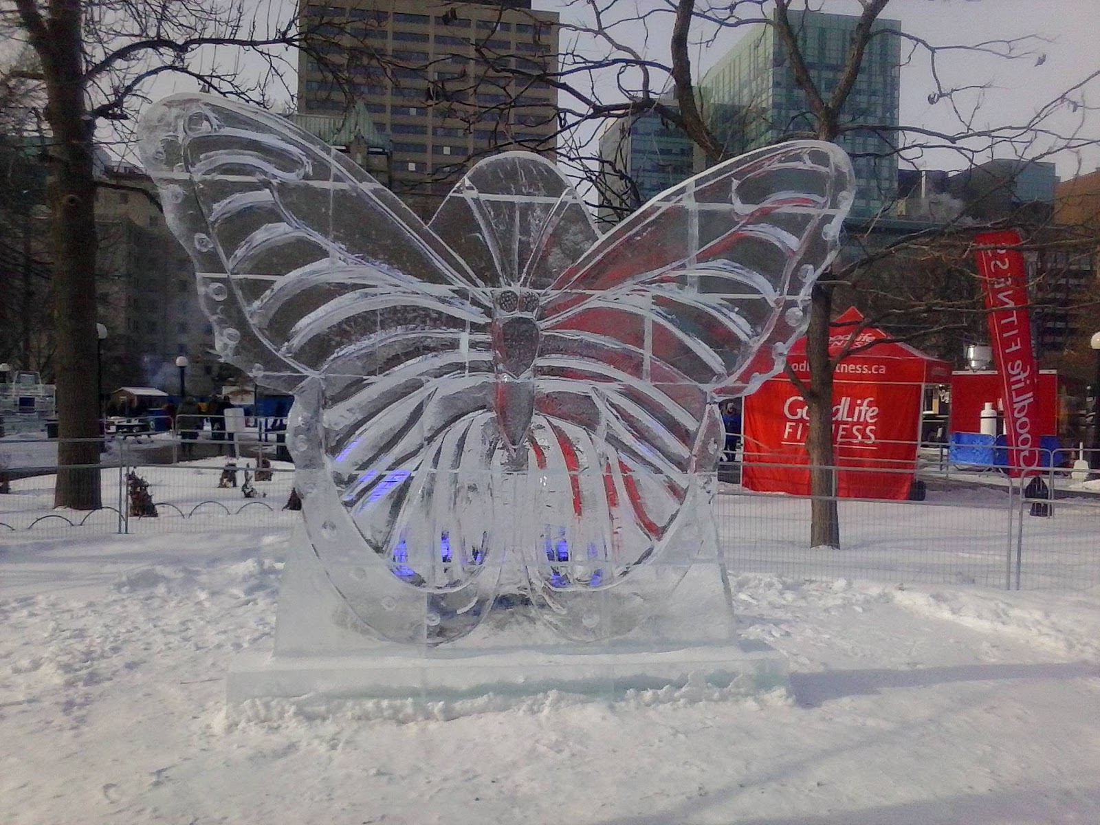 Ottawa Daily Photo Ice Sculptures