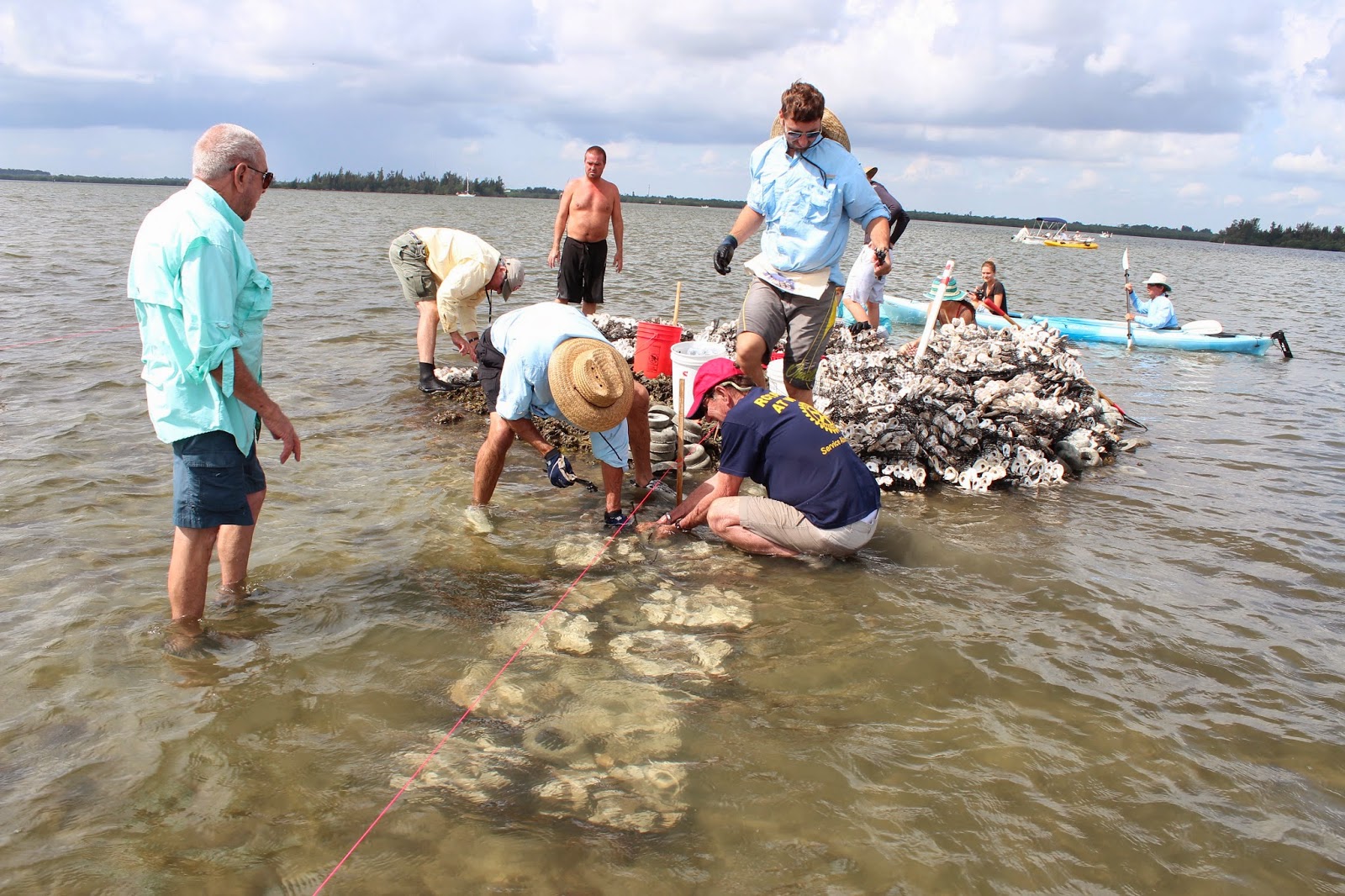 FLORIDA 2014 The Oyster Mat Project