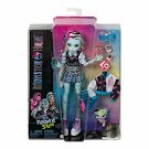 Monster High Frankie Stein Core Dolls Doll