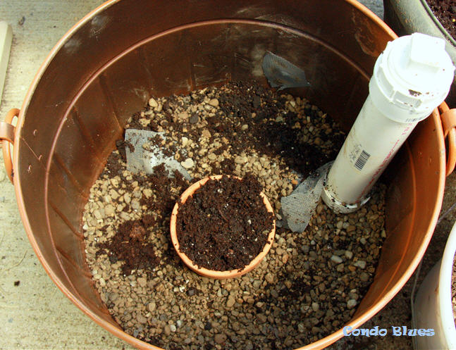 Condo Blues How To Make A Self Watering Flower Pot Condo Blues How To Make A Self Watering Flower Pot