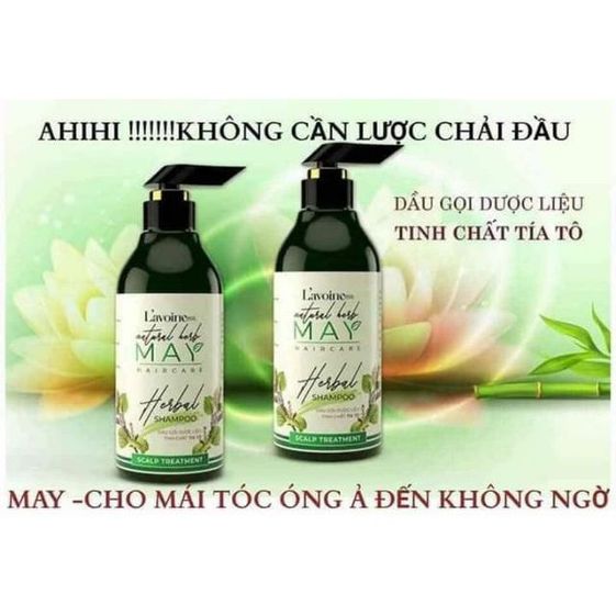 DẦU GỘI THẢO DƯỢC TÍA TÔ TRỊ RỤNG, PHỤC HỒI TÓC MAY - L'AVOINE 2 sm 583882234463 1617530826824