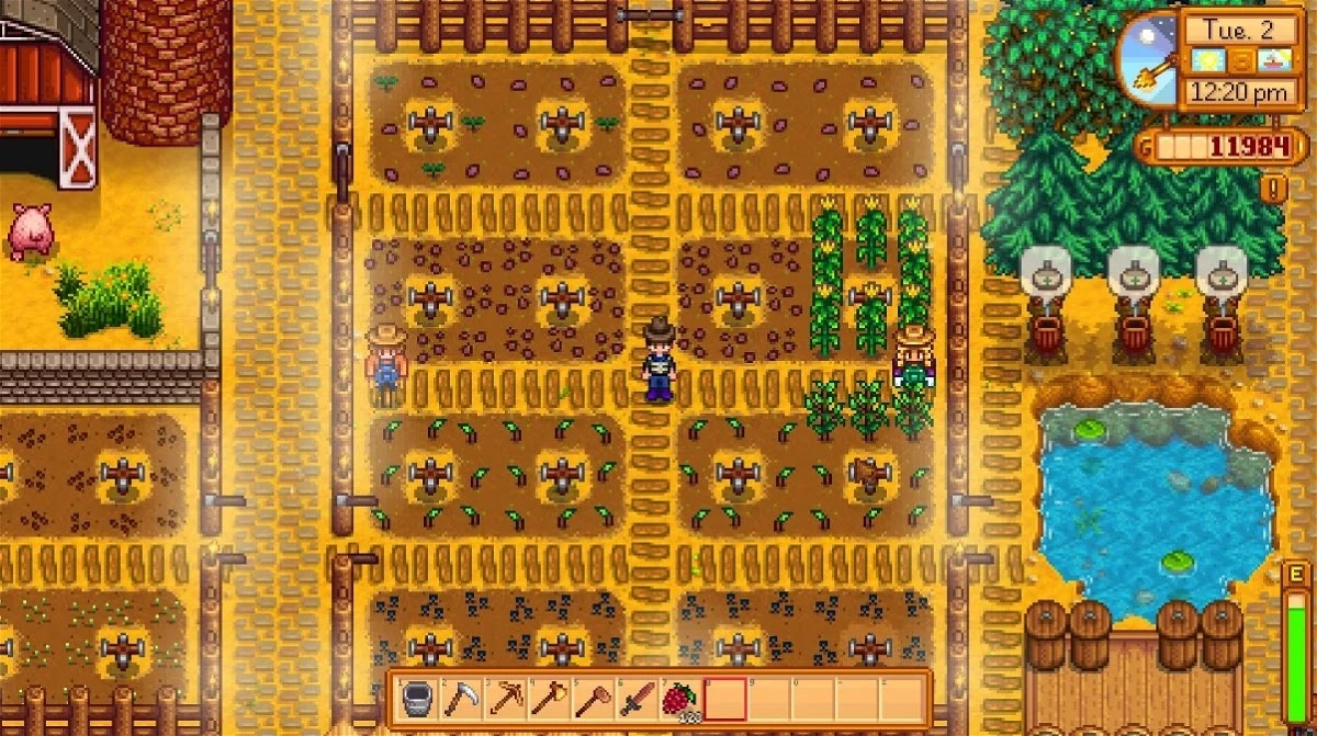 What is the function of the fences in Stardew Valley