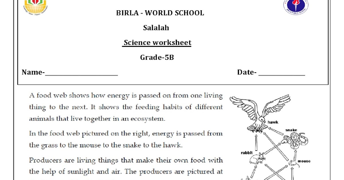 6th Grade Free Science worksheets, Games and Quizzes
