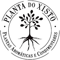 A Planta do Xisto