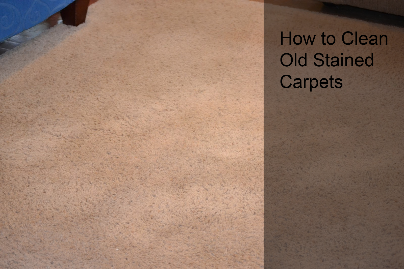 How to Clean Old Stained Carpet Easily A Blog on Carpet cleaning guide!