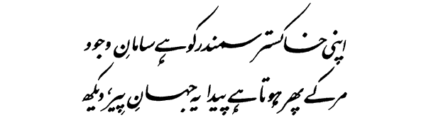 Allama Iqbal Poetry کلام علامہ محمد اقبال: (Bang-e-Dra-162) Jawab-e