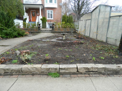 Summerhill Toronto New Front Perennial Garden Makeover Before by Paul Jung Gardening Services--a Toronto Gardening Services Company Summerhill Toronto New Front Perennial Garden Makeover Before by Paul Jung Gardening Services--a Toronto Gardening Services Company