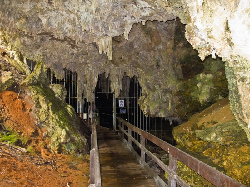 Mammoth Cave Kentucky 4