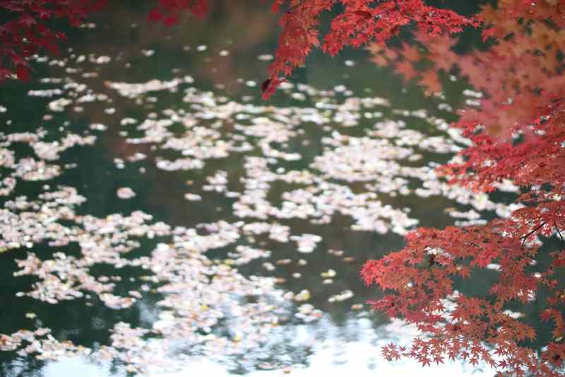 순천 조계산 송광사