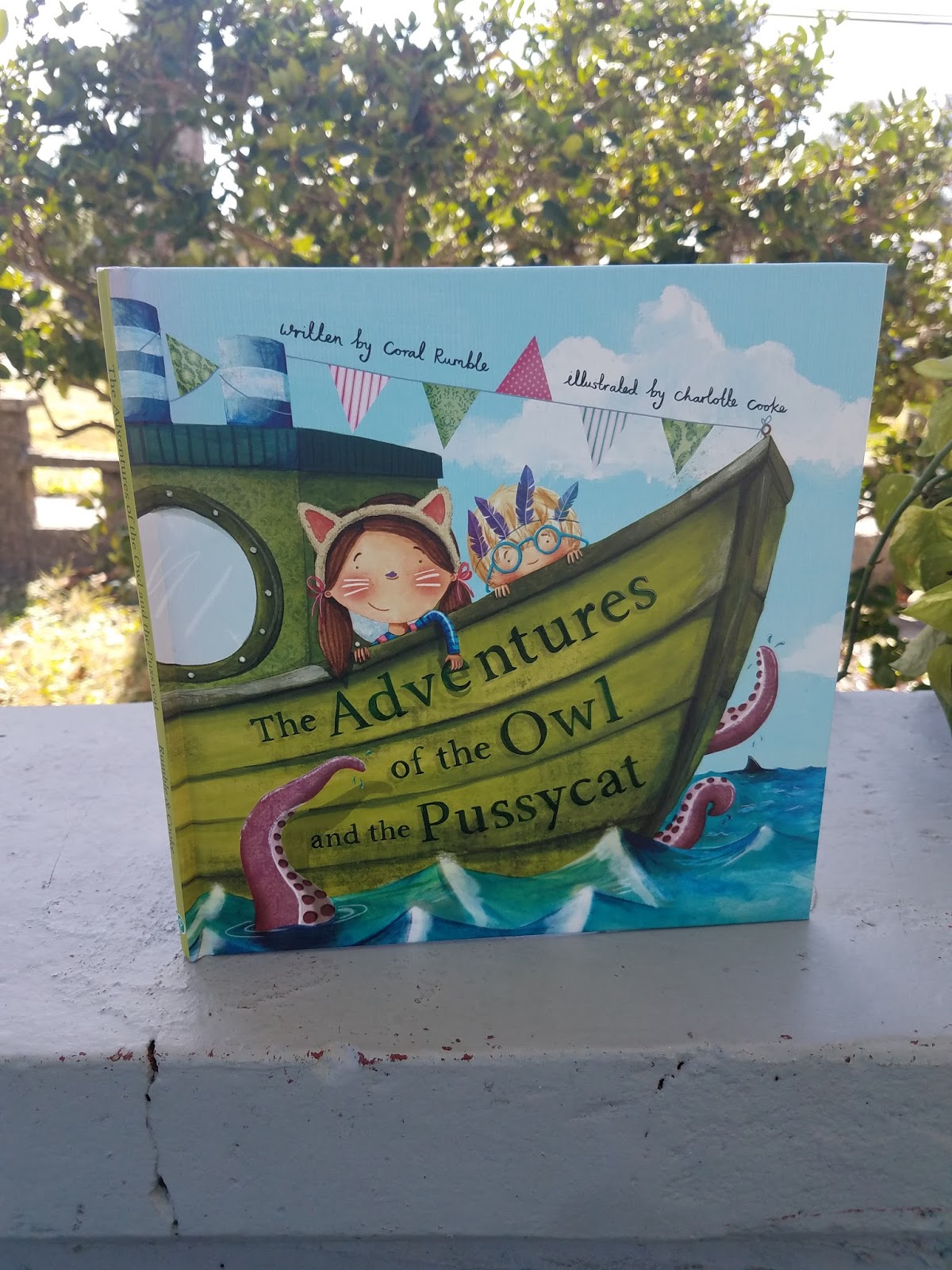 The ABCD Diaries Monthly Subscription Box for Book