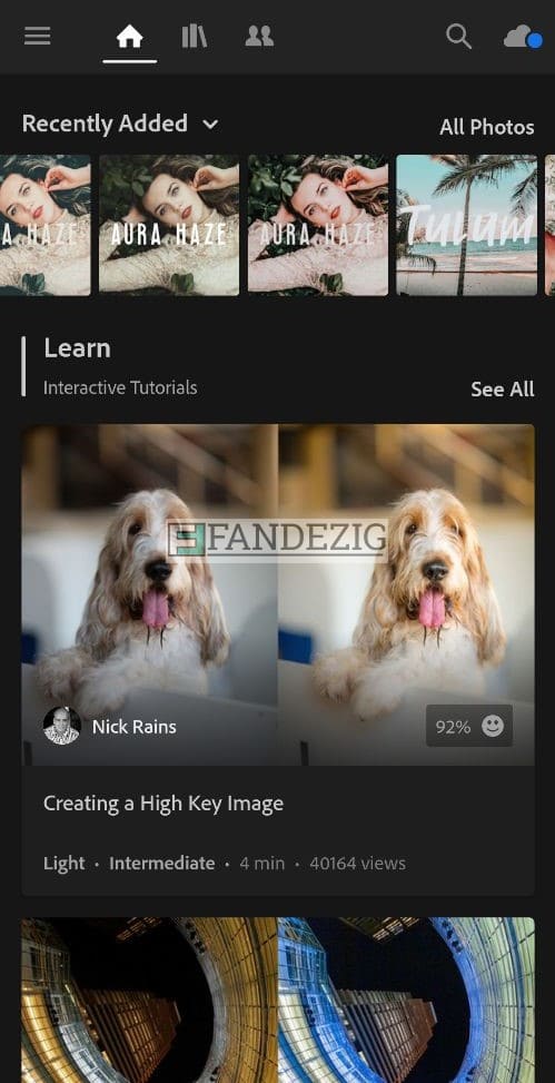 Cara Menambahkan Preset File Dng Di Lightroom Android Dan Ios Fandezig