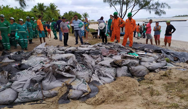 Óleo atinge manguezal e praia no Cabo de Santo Agostinho, em Pernambuco