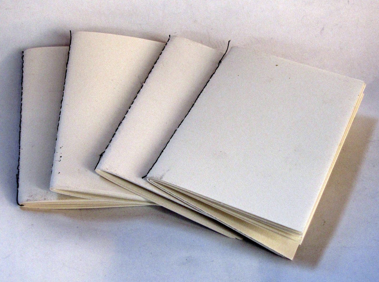 Letting in the Light Notebooks with Extra Pages
