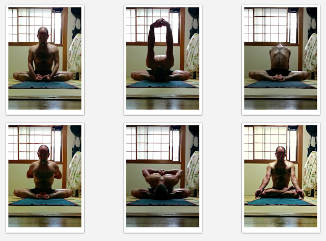 Addicted to Yoga  Kino MacGregor - Online Yoga Classes, Author, Yogi,  Ashtanga Teacher