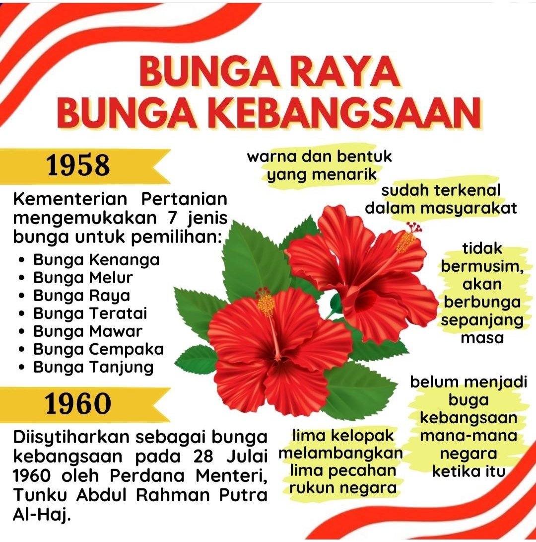 bunga