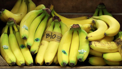 المزايا الغذائية لفاكهة الموز