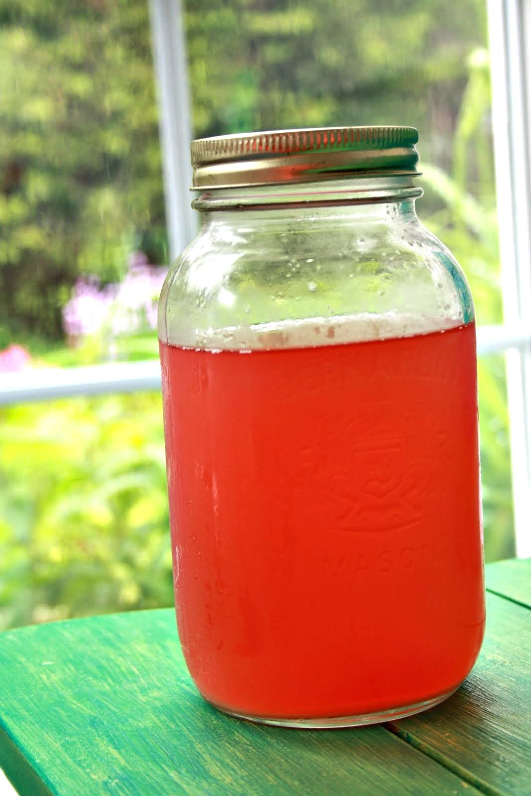 Rhubarb juice - refreshing, unique and oh so lovely - Bridget's Green ...