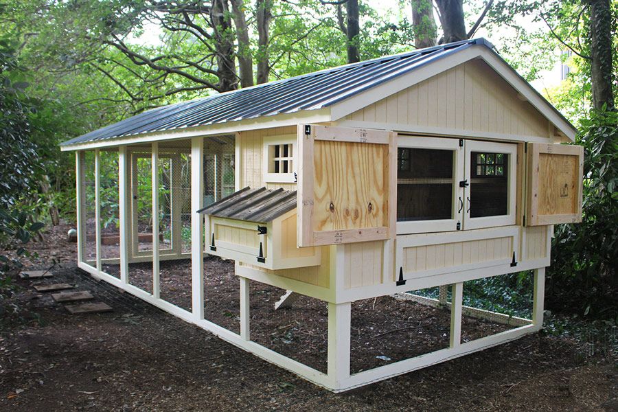 top-10-backyard-chicken-coop-plans-ideas-chicken-galleri